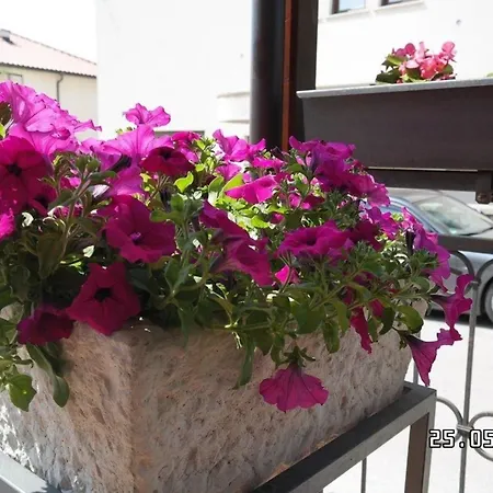 Apartman In Mit Garten, Terrasse Und Grill Und Panoramablick *